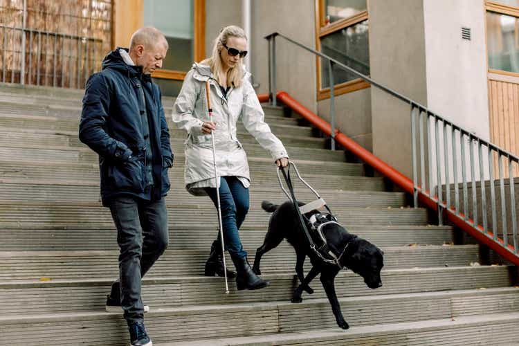 Blind woman with dog moving down by mature man on steps