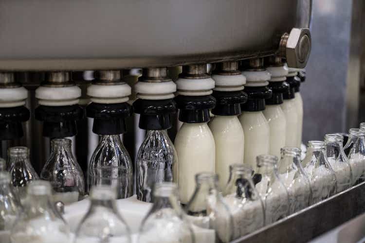 Empty bottles being filled with milk on production line