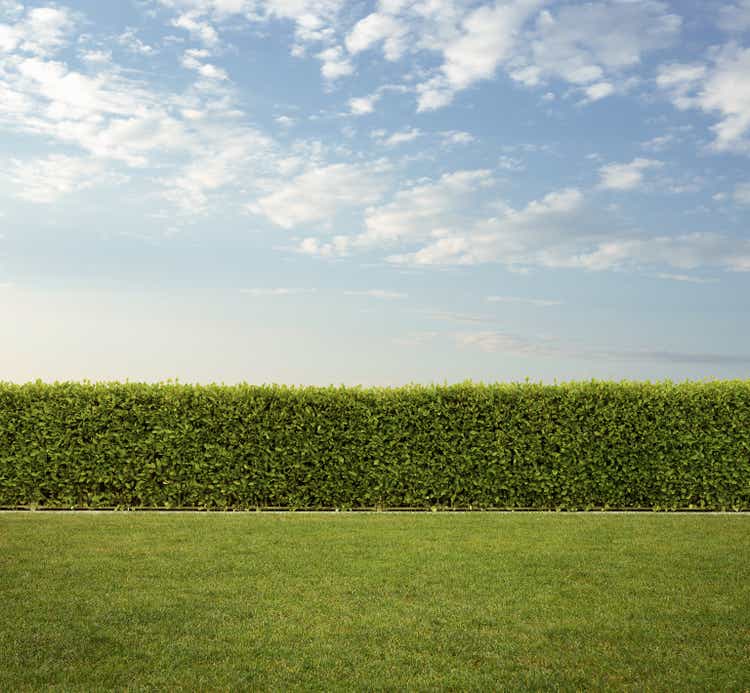 Back yard, nice trimmed hedge fence on the grass with copy space