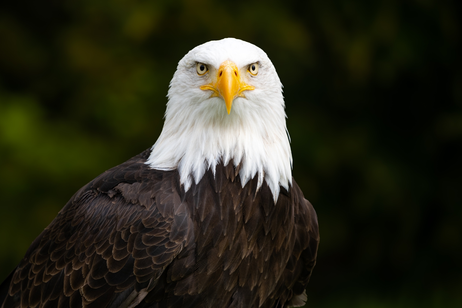 Breaking Down Eagle Materials: Hidden Gem For Value Investors (NYSE:EXP