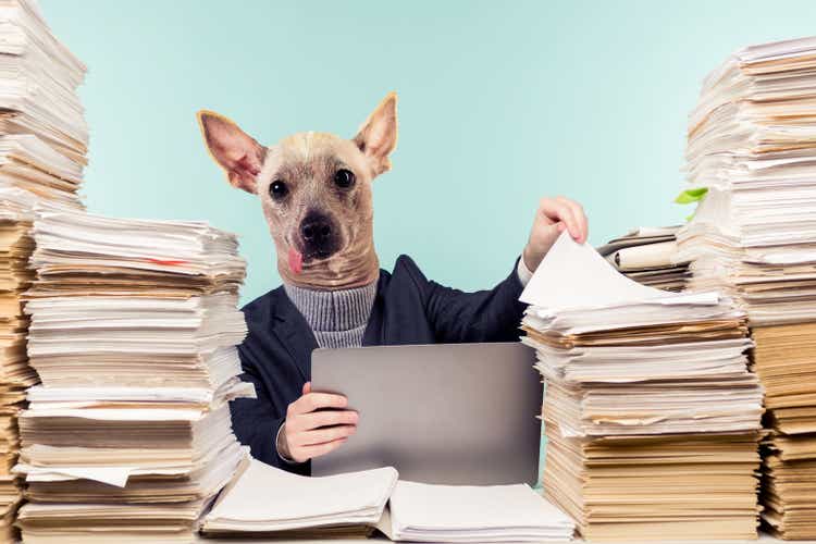 Abstract modern collage. The man with the head of Dog male accountant or company manager works in an office in view of the accumulated paper work.