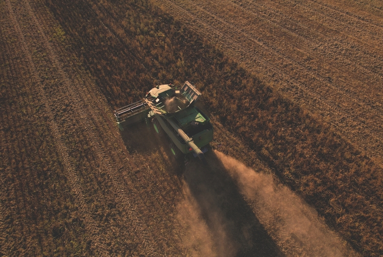 Combine harvester John Deere harvesting oilseed rape in field. Aerial view of harvest season in farm field.