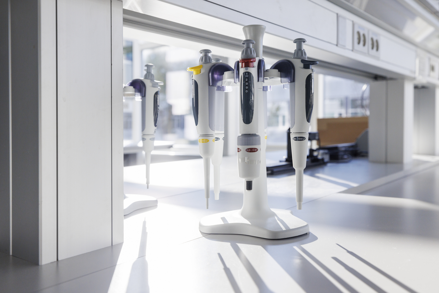 seekingalpha.com - Lighting Rock Research - Thermo Fisher Scientific: Recovery In Life Sciences Solutions (NYSE:TMO)