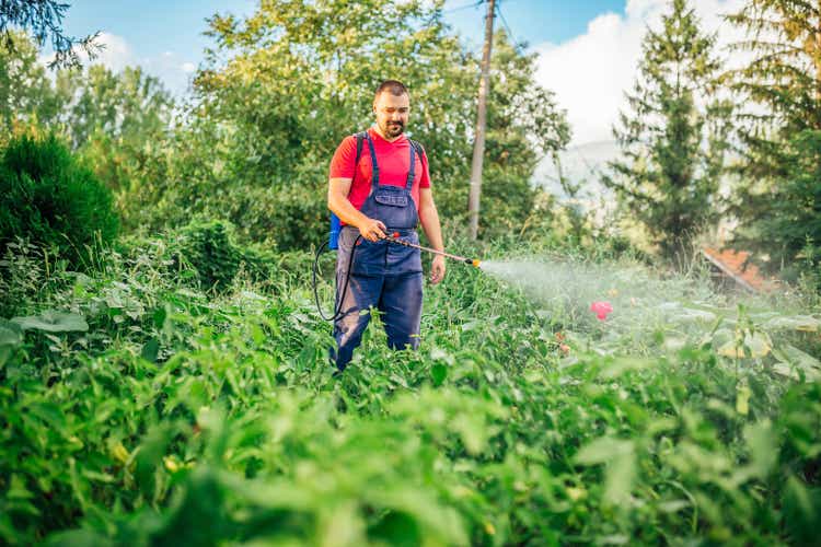 Farmer is spraying herbicide on garden