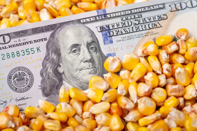 Einhundert-Dollar-Schein in Maisgetreide