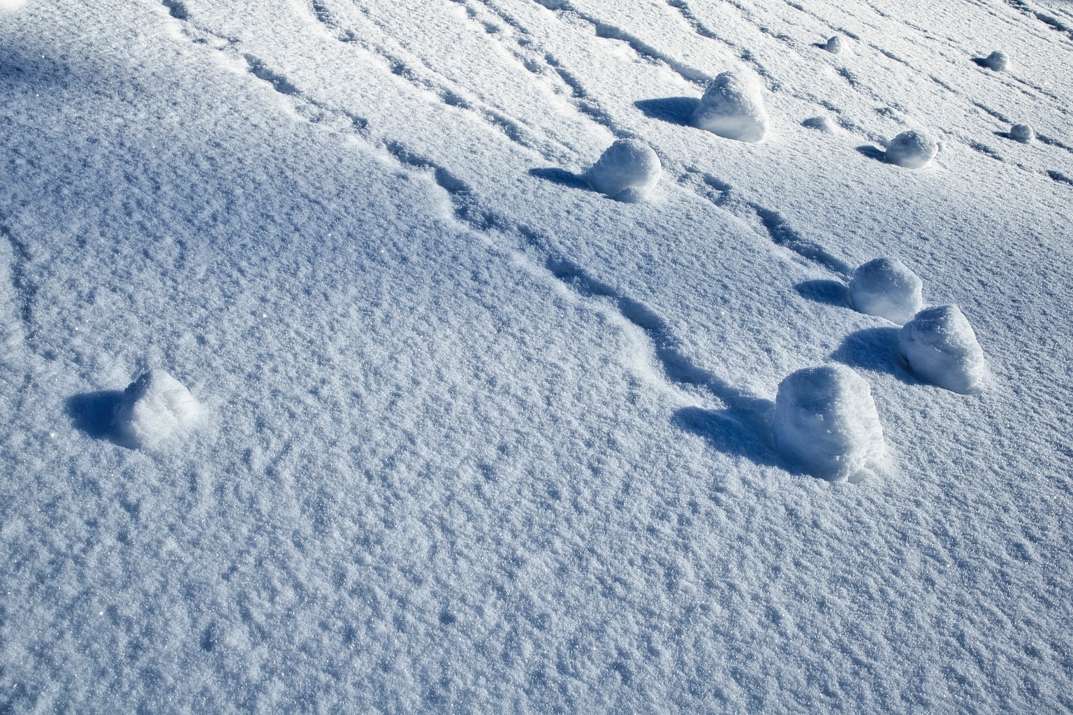 Better Passive Income Snowball: SCHD Or DIVO? | Seeking Alpha
