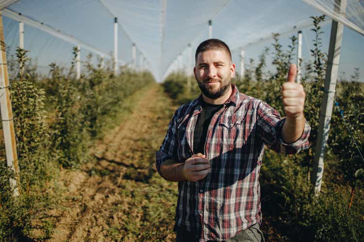 A farmer paying a visit to an apple farm