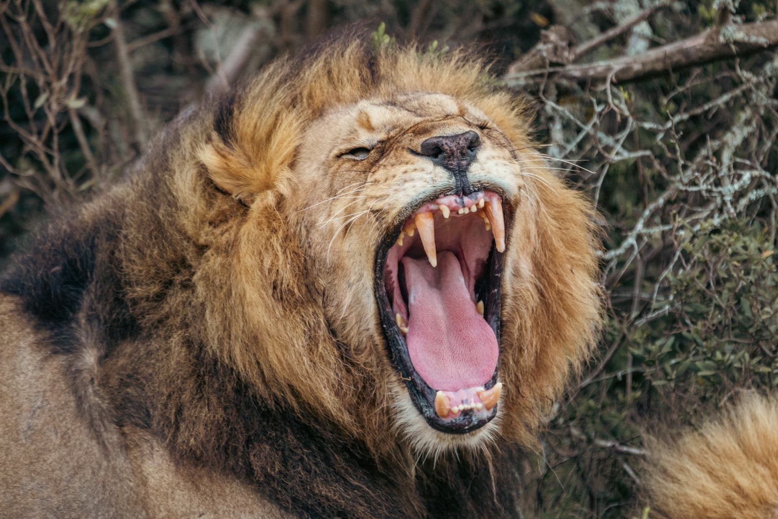 S&P 500: Respond To War With ROAR (Technical Analysis)
