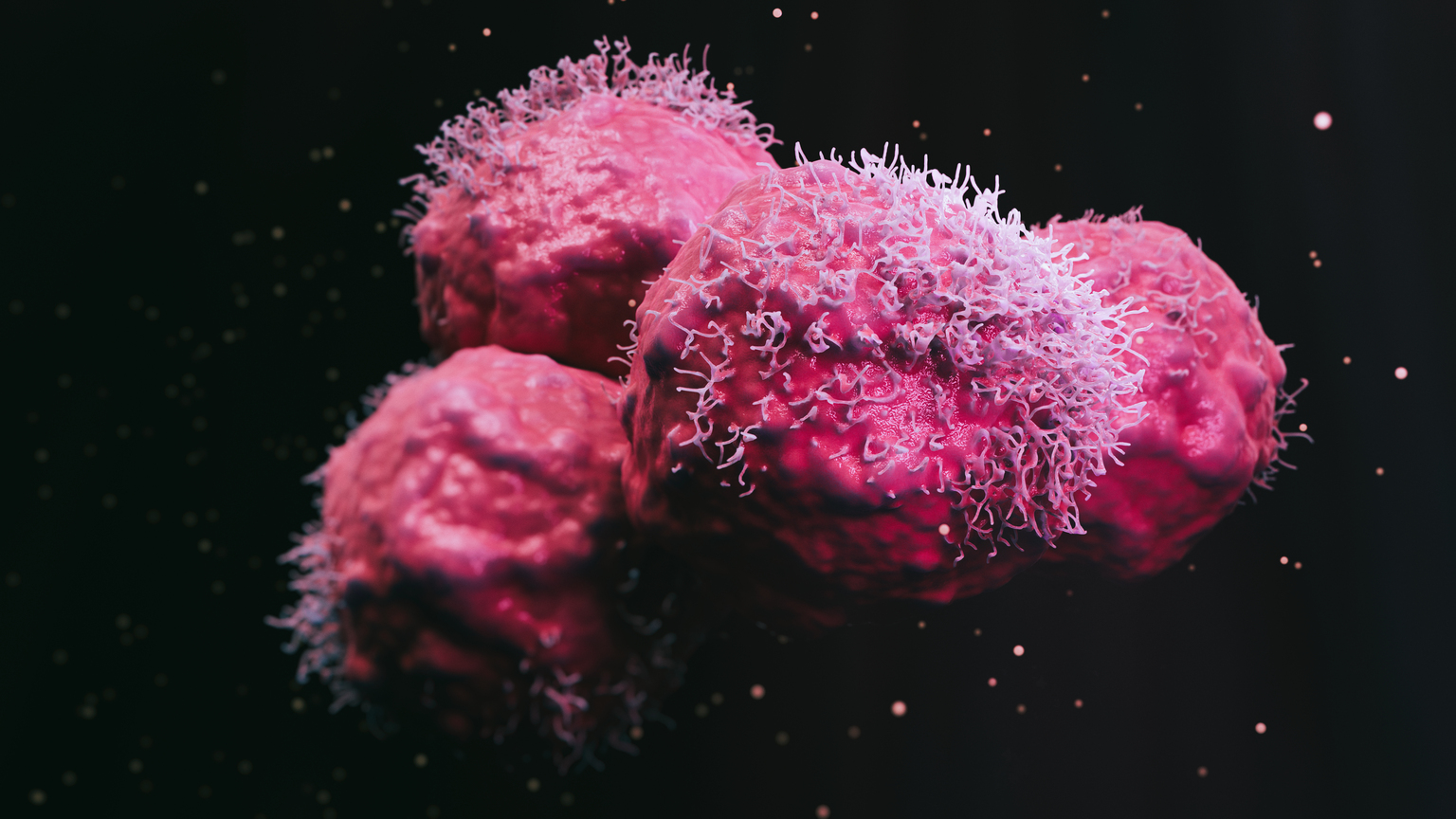 prophase labs stock