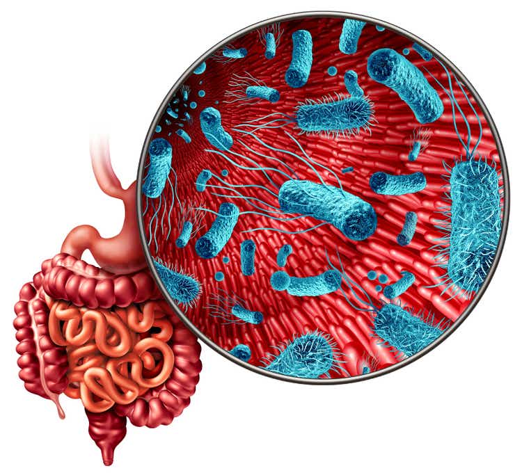 Microbiome Digestion Bacteria
