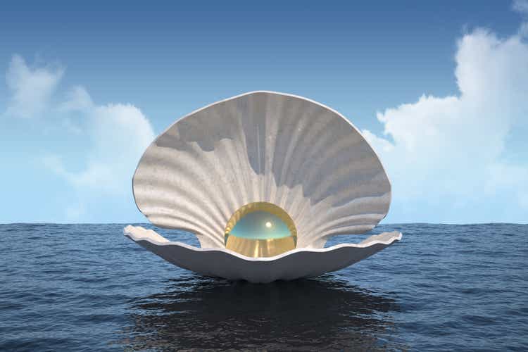 shell with a golden pearl on the surface of the water