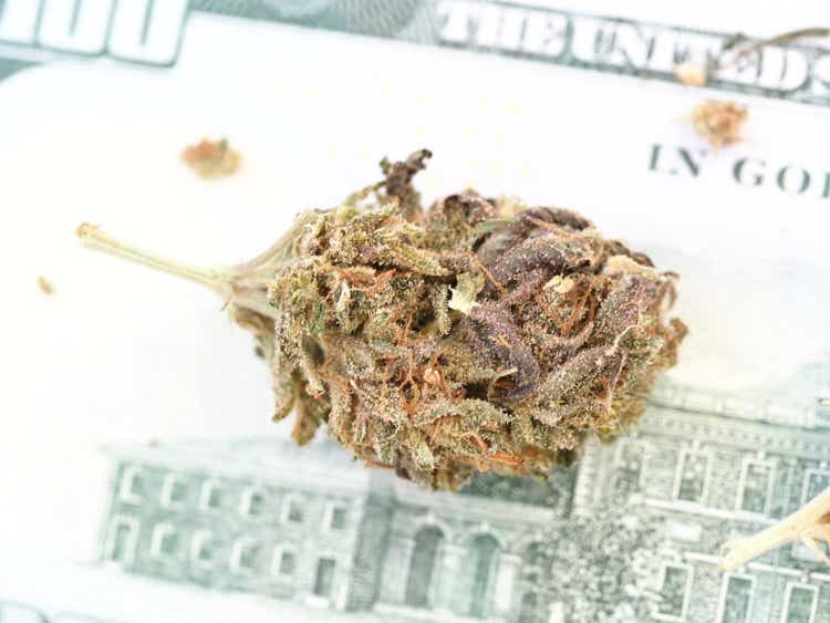 cannabis business concept money american dollars and medical marijuana