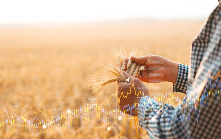 Rising wheat prices in Europe due to the conflict between Russia and Ukraine. Flour and wheat crisis.