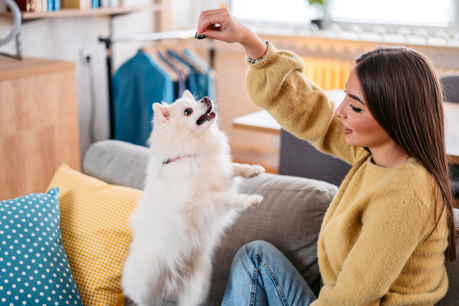 dog treat advisor