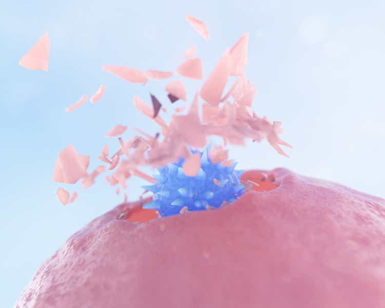 NK Cell (Natural Killer Cell) Attacking a Cancer Cell