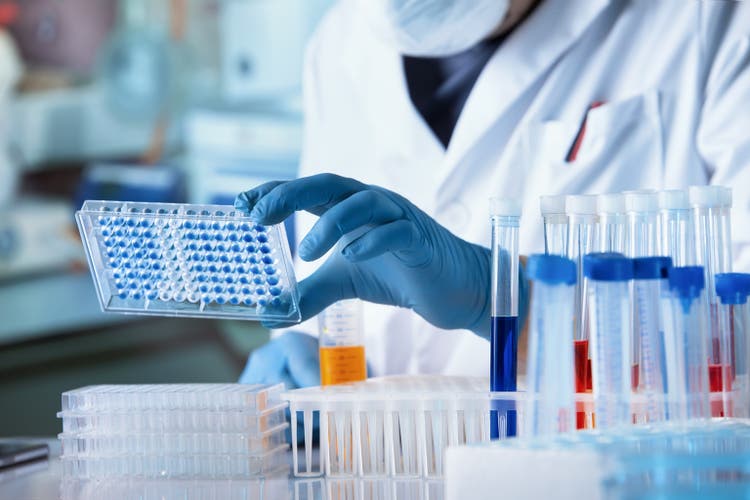 Doctor working with microplate for elisa analysis