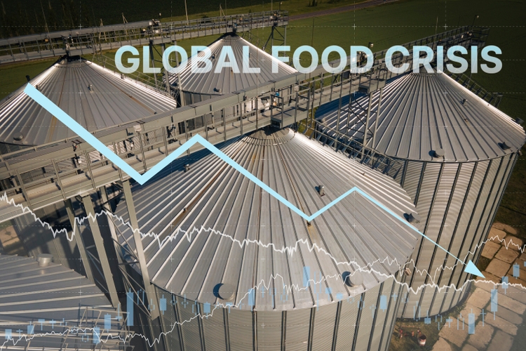 Grain storage silos. Galvanized tanks for grain with graph with arrow trending downwards