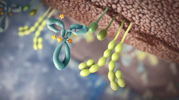 Cells provide main functions.They provide structure and support