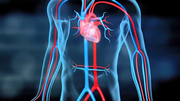 The Heart and Circulatory System