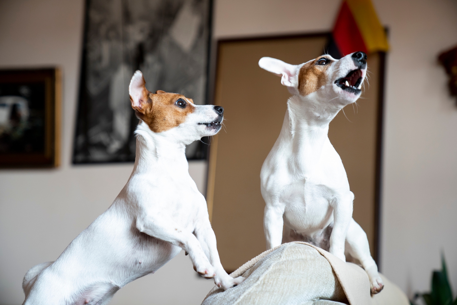 MAXI: Long Bitcoin With A 32% Yield (NASDAQ:MAXI) | Seeking Alpha