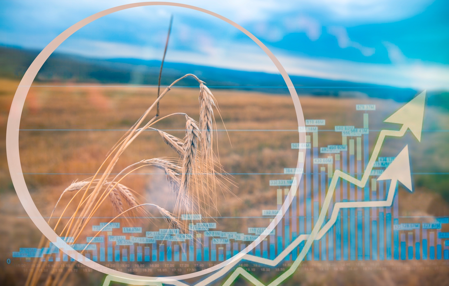 Agriculture Commodity Prices Rising Ahead Of El Nino