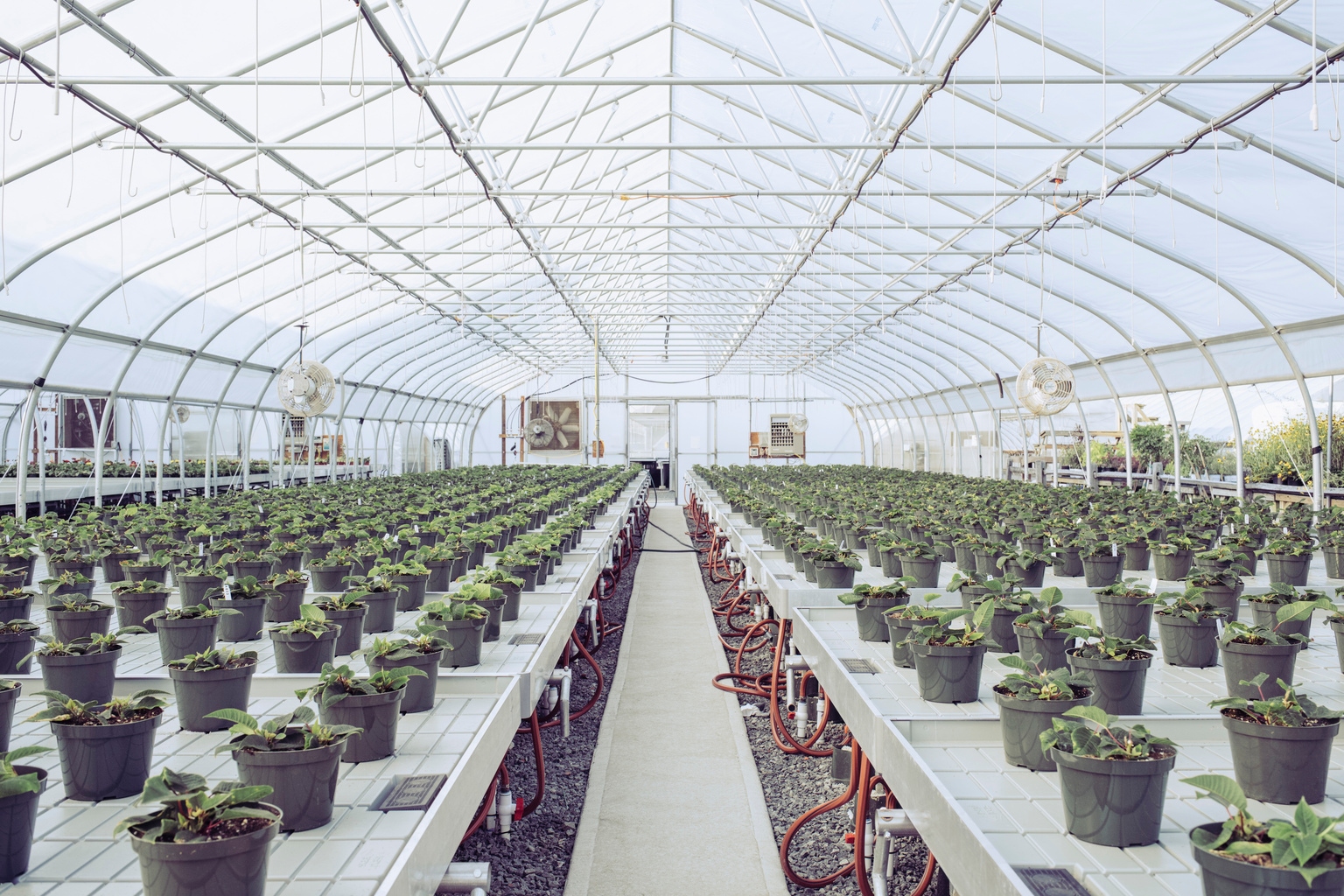 Innovative Industrial Properties: What If The Real Estate Value Plummets?