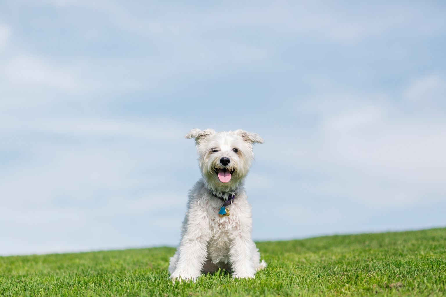 The 'Great Rotation' Of 2026 Will Benefit BDCs