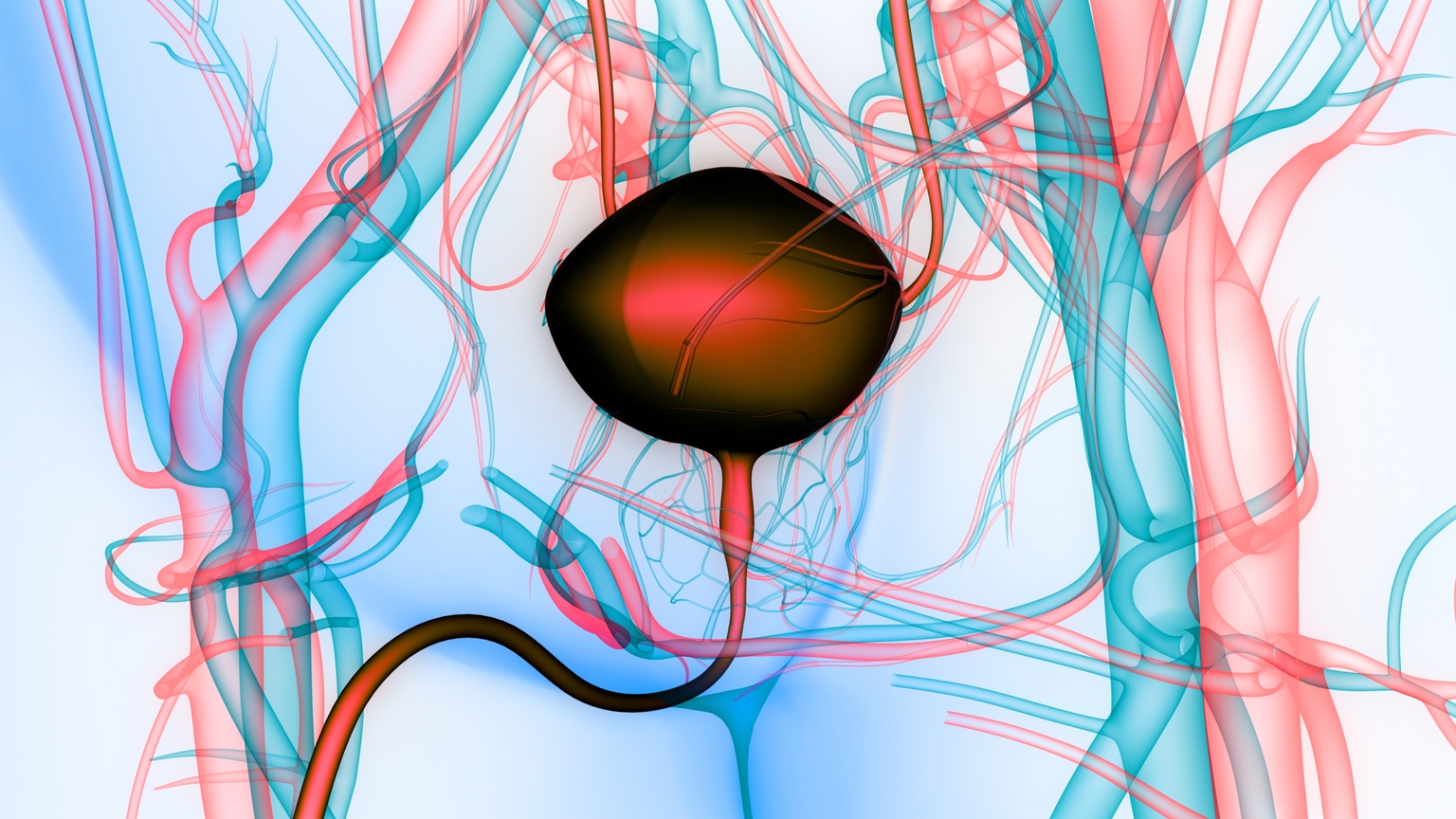 CG Oncology Begins IPO Effort For Bladder Cancer Drug (Pending:CGON ...