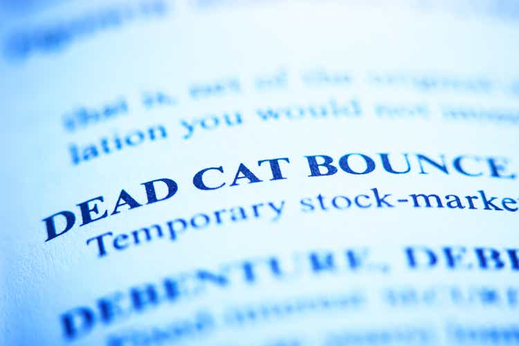 Dead Cat Bounce defined in a business dictionary
