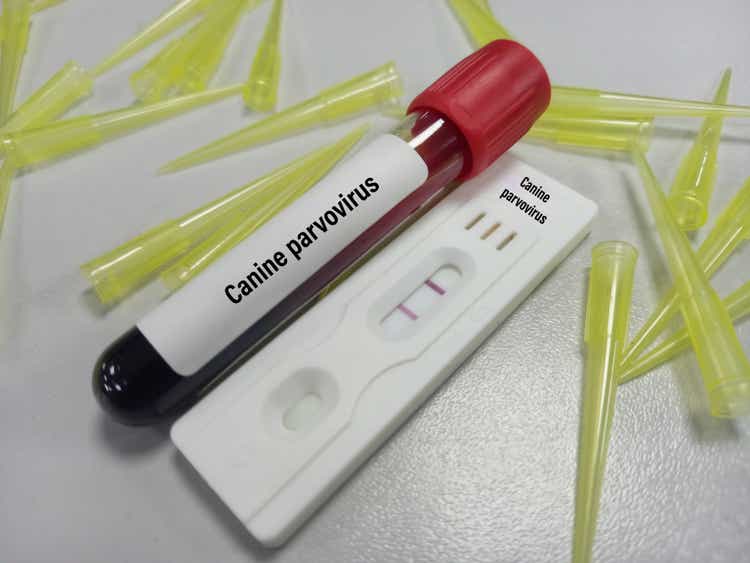 Blood sample with rapid test kit for Canine parvovirus test at medical laboratory