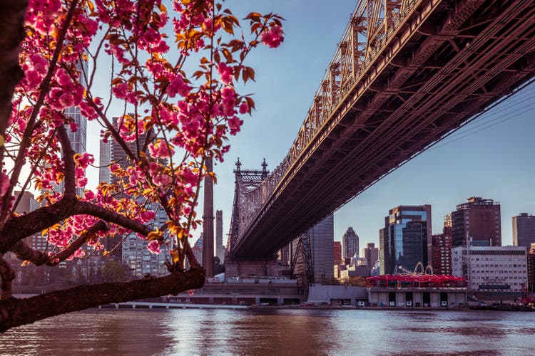Queensboro Bridge and Midtown Manhattan