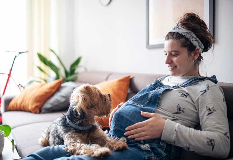 Young pregnant woman sitting on sofa and relaxing at home with dog.
