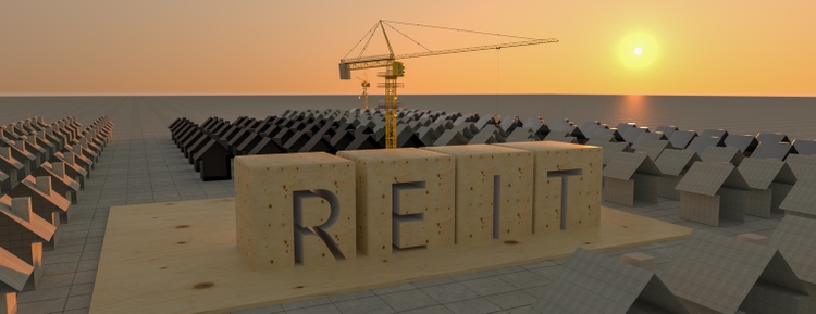 Concept image of Business Acronym REIT as Real Estate Investment Trust. Many houses and construction cranes. 3d rendering
