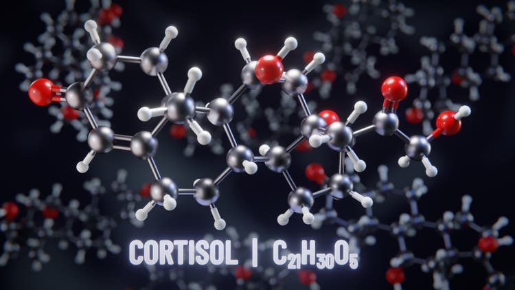 Cortisol molecular structure. 3D illustration