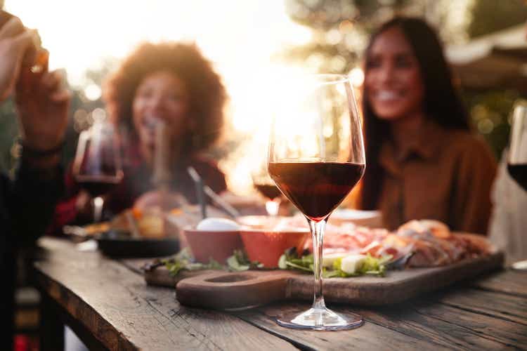 Group of friends having fun at bbq dinner in garden restaurant - Multiracial people cheering red wine sitting outside at bar table - Social gathering, youth and beverage lifestyle concept