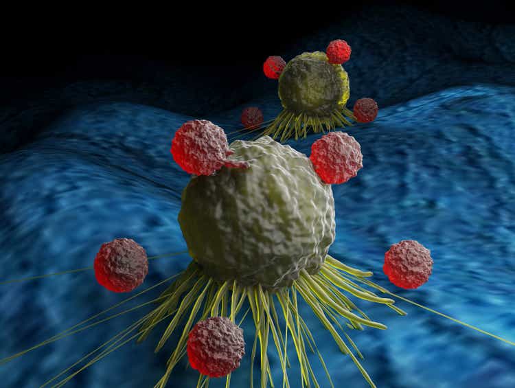 T cells that attack cancer cells.