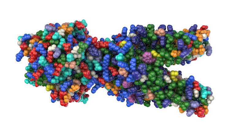 Multidrug transporter molecule, 3D illustration