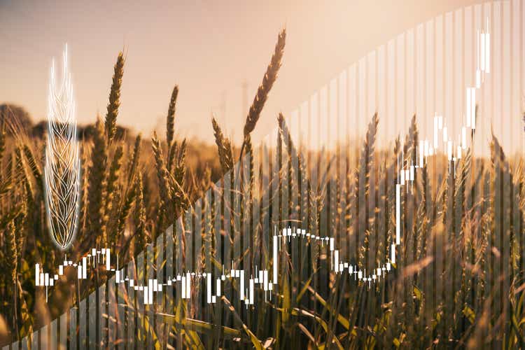 Price growth chart against the background of wheat