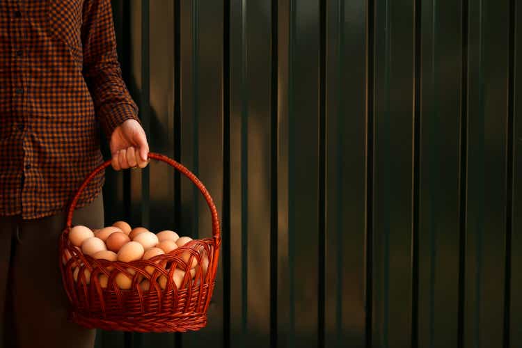 Many eggs in basket. Young female farmer holding whole basket of brown organic eggs on modern green background. Poultry farm. Eco agriculture, fresh egg, import, export. Countryside. Copy space
