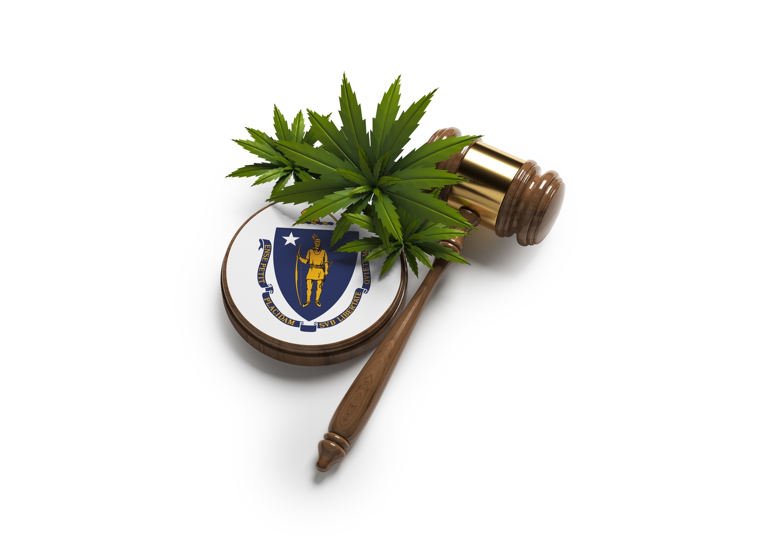 MariMed Stock: Still Overlooked (OTCMKTS:MRMD) | Seeking Alpha