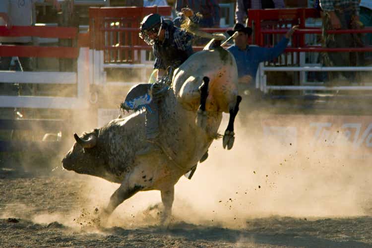 Rodeo Bull and Rider