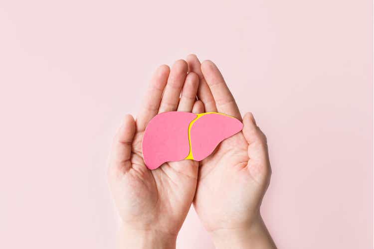 World hepatitis day. Adult hands holding donation liver on pink background. Awareness of prevention and treatment viral hepatitis. Liver cancer. World cancer day. copy space. banner