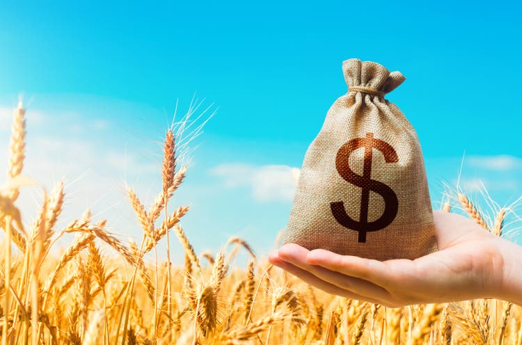 Wheat field and dollar money bag. Agroindustry and the agricultural business. World food security crisis, high prices. World hunger. Grains and cereals deficits, livestock feed. Starvation and famine