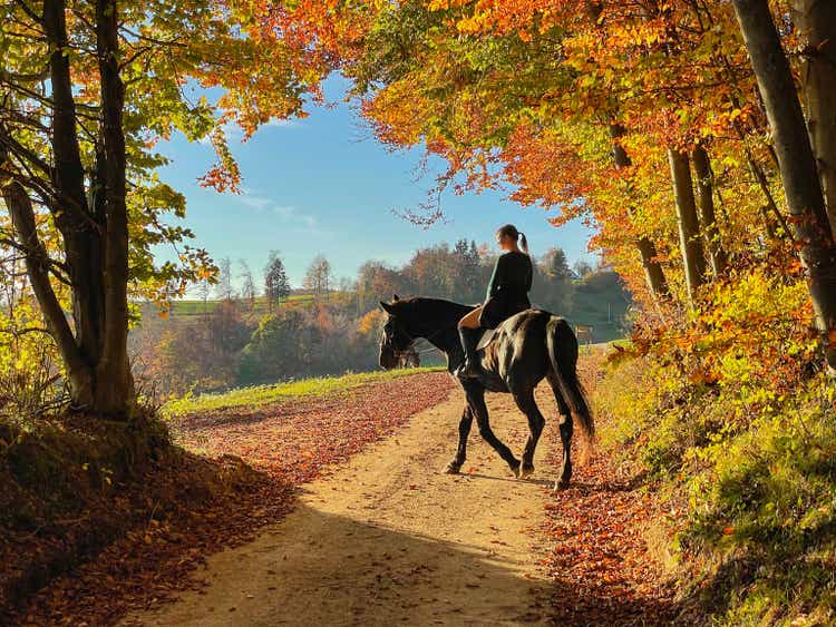 Woman rides a chestnut horse along a colorful forest trail on a sunny autumn day