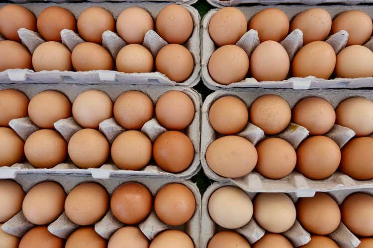Cartons of fresh organic eggs for sale