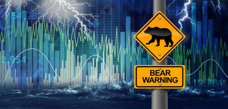 Bear Market Warning