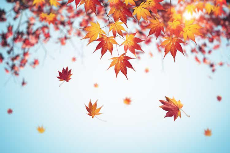 Autumn background with falling leaves