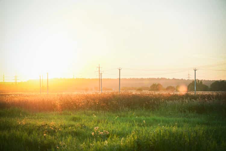 summer sunset in the field (with electric poles)