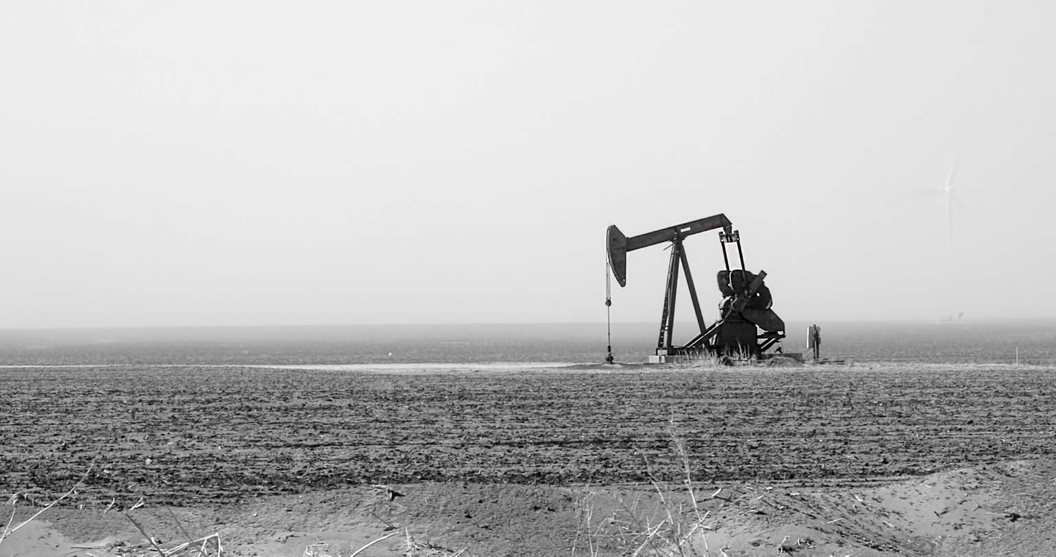 seekingalpha.com - Leo Nelissen - LandBridge: My Biggest Investment Ever Is Just Getting Started (NYSE:LB)