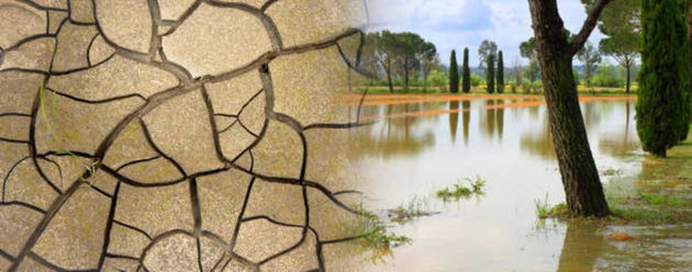 How will the El Niño 'wrecking ball' impact the global economy?